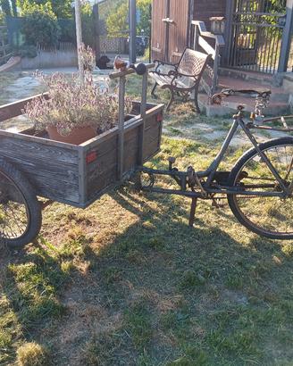 doniselli bici da mercato collezione