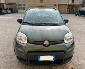 Panda hybrid 2021