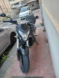 honda hornet