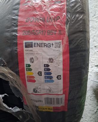 gomme invernali 205/55 R17 95V XL
