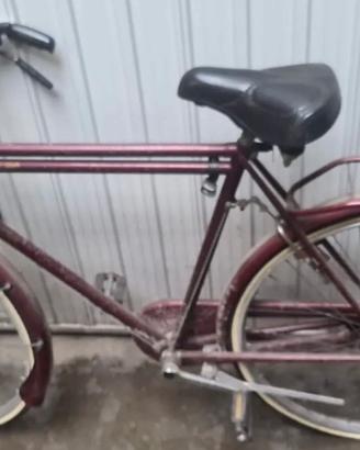 Doniselli Bicicletta