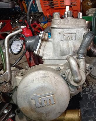 TM  motore 125