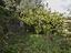 Immagine 14