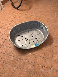 Cuccia cane