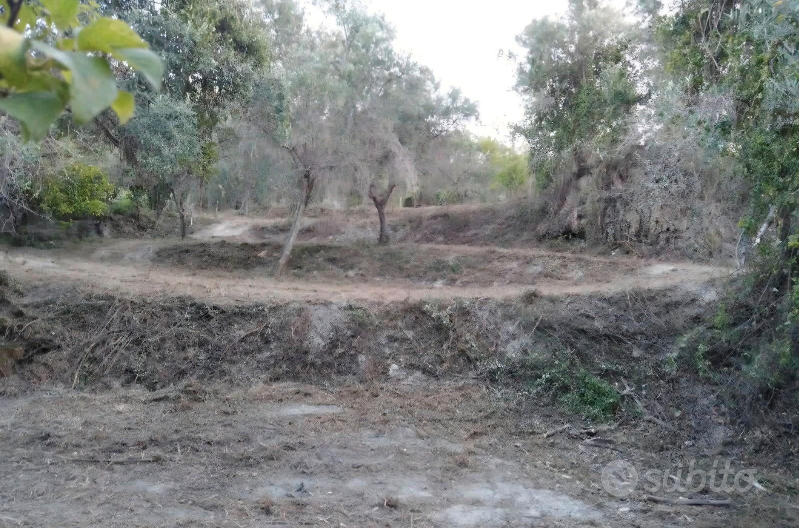 Terreno panoramico - Vista 5