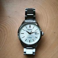 Seiko Brightz SDGM001