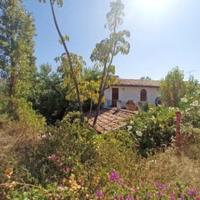 RGE 91/2022 Trib Barcellona PG