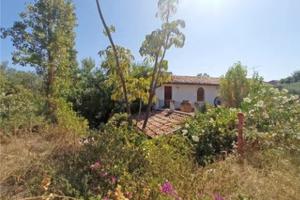 RGE 91/2022 Trib Barcellona PG