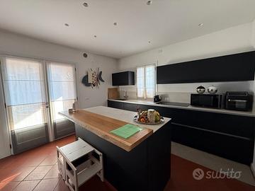 Casa singola con giardino (C 295)