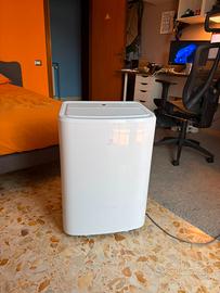 Electrolux Condizionatore portatile