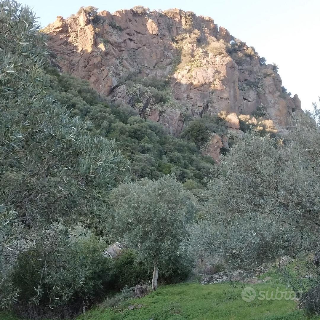 Vendita terreno - Vista 2
