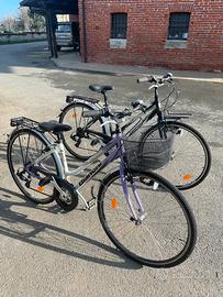 Biciclette da passeggio