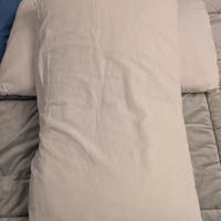 Coppia cuscini Zucchi 