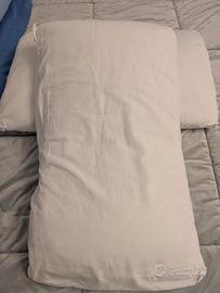 Coppia cuscini Zucchi 