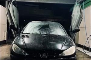 Peugeot 206 2007 – 189.300 km – Porte vertical