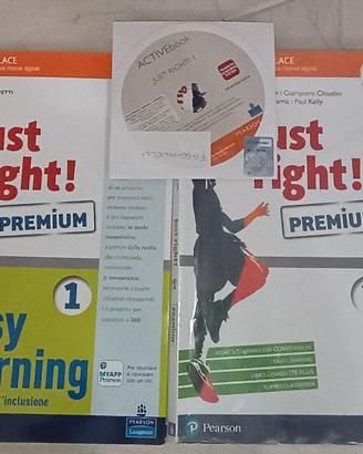 libro scuole medie Inglese Just Right 1