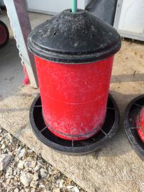 mangiatoia per galline 