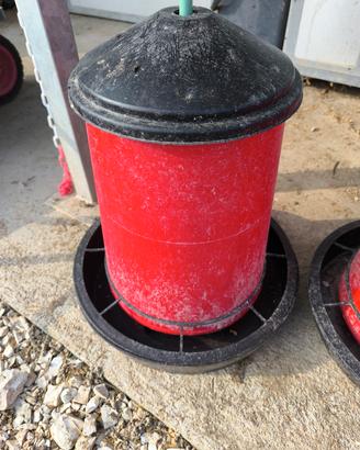 mangiatoia per galline 