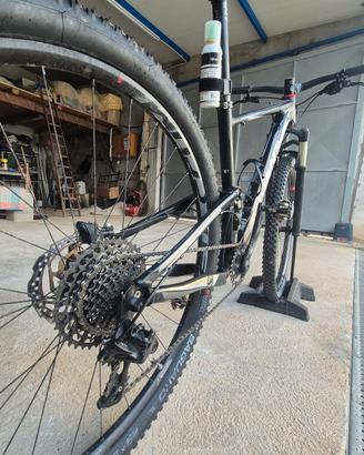 mount bike giant
