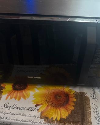 Samsung microonde ceramic inside quick defrost