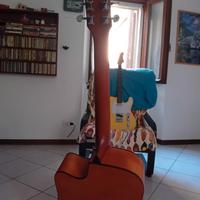 chitarra acustica folk donner cutaway