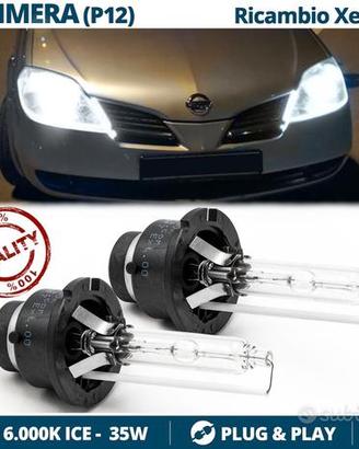 2 Lampadine XENON D2S 6000K Nissan Primera P12 P11
