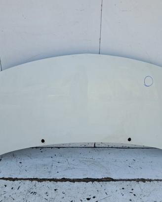 7751477649 COFANO ANTERIORE RENAULT TWINGO II (C44