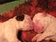 Immagine 2