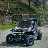 Polaris rzr sd