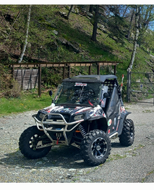 Polaris rzr sd