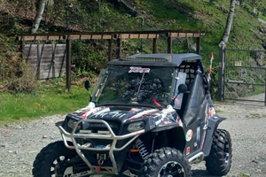 Polaris rzr sd