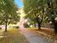 Immagine 28