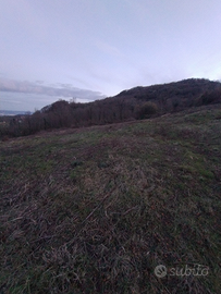Terreno agricolo a Chiampo (Vicenza)