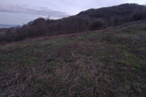Terreno agricolo a Chiampo (Vicenza)