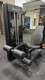 Diamond Leg Exstension Leg Curl