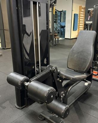 Diamond Leg Exstension Leg Curl