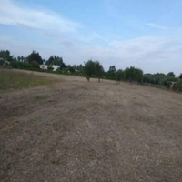 Terreno agricolo Casarano-Melissano