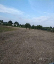 Terreno agricolo Casarano-Melissano