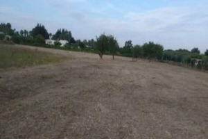 Terreno agricolo Casarano-Melissano
