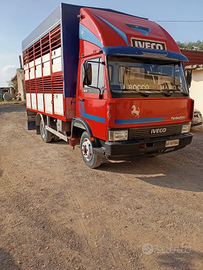 Veicoli commerciali,trasporto animali