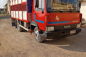 Veicoli commerciali,trasporto animali