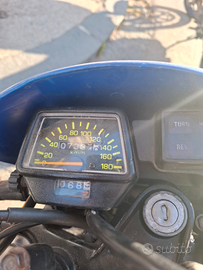 Yamaha xt