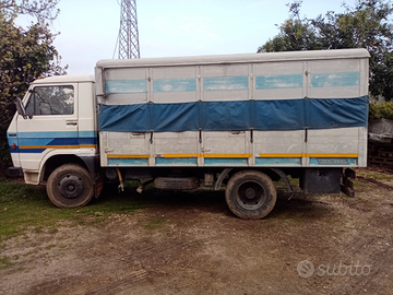 Camion trasporto bestiame