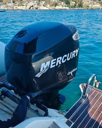 Gommone IMAR 610 Mercury Optimax 115CV