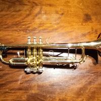 Tromba professionale B&S 