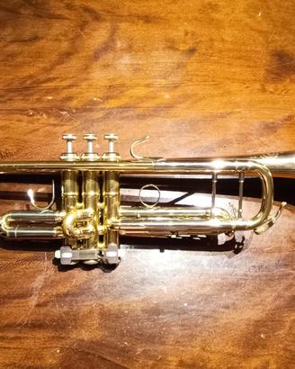 Tromba professionale B&S 
