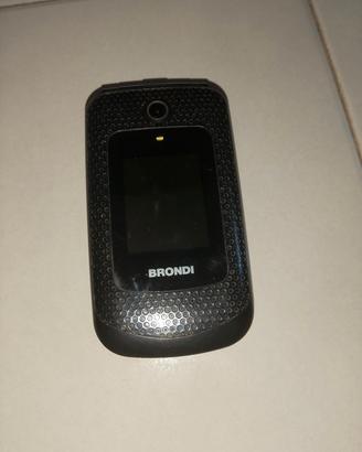 Brondi per ricambi 