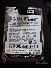 hard disk Western Digital WD3200BEKT 320 GB 