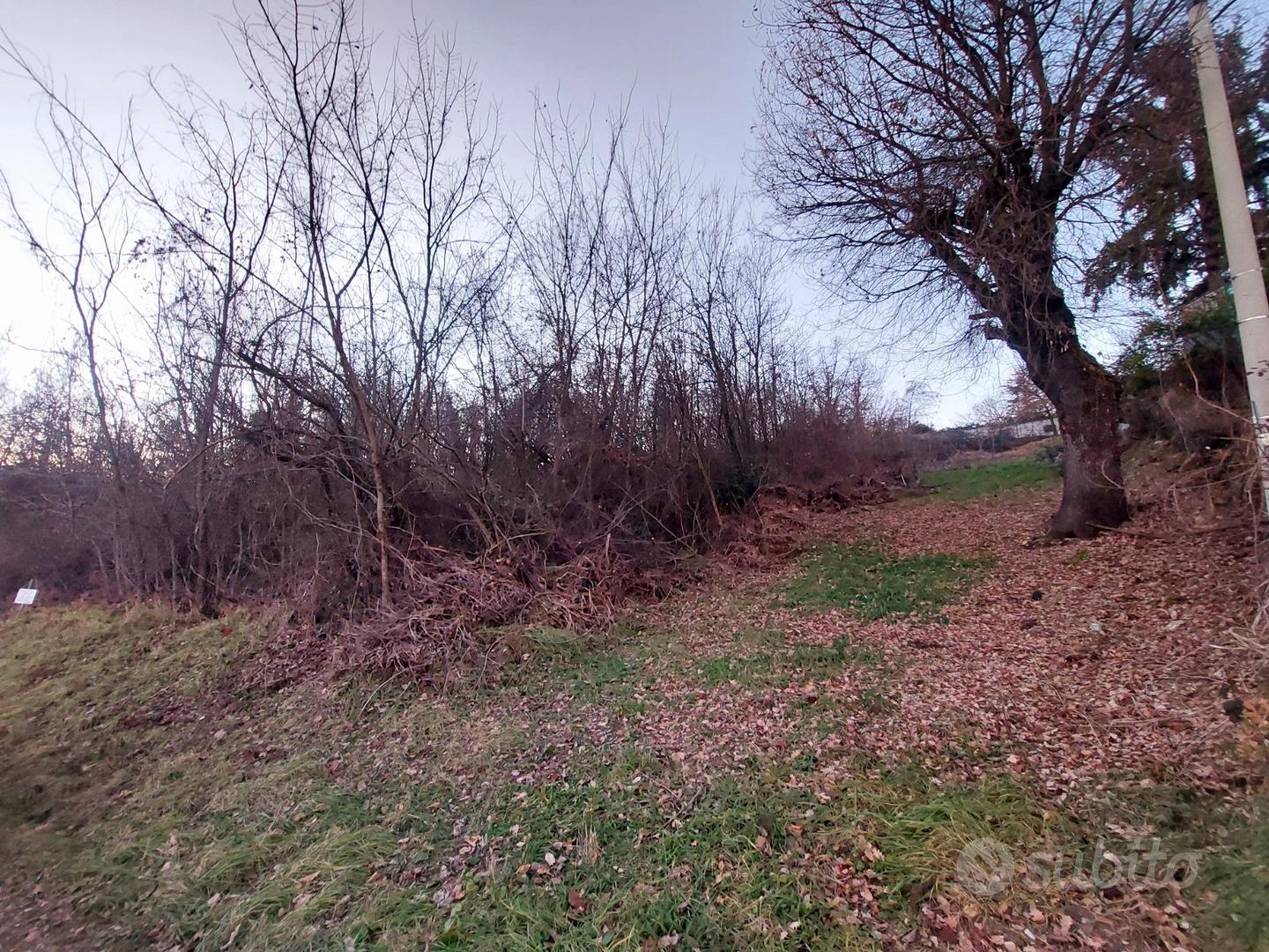 Terreno edificabile e seminativo Gropparello - Vista 3