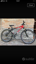 Bicicletta